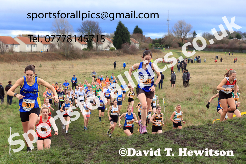 Senior Womens 2025 Start Fitness NEHL, Wrekenton, Gateshead, Sunday, November 23rd. Photo: David T. Hewitson/Sports for All Pics